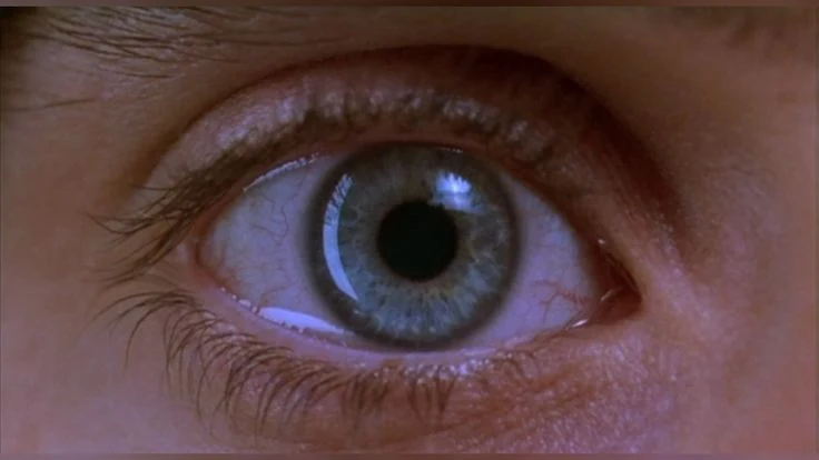 An extreme close-up of an eye